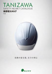 TANIZAWA